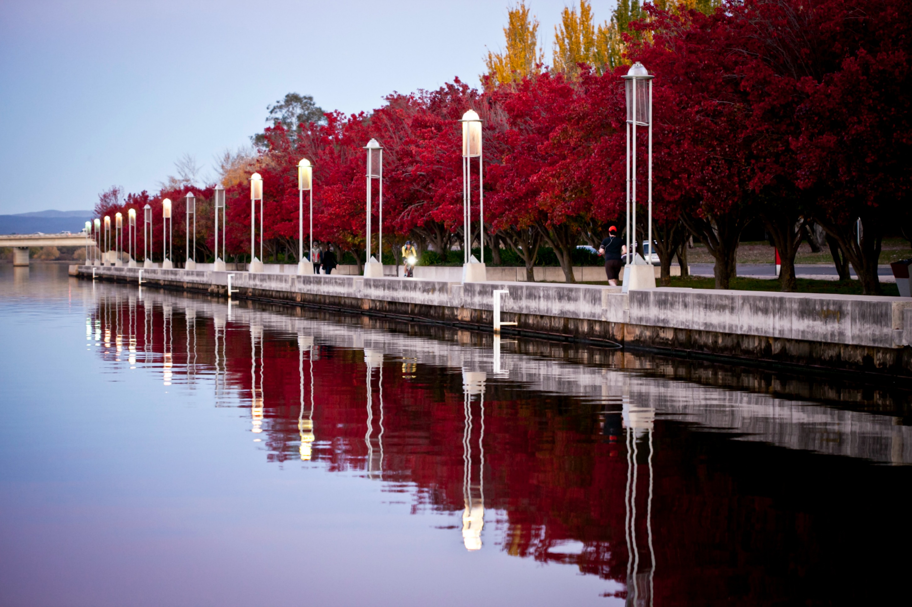 The tree-lined water’s edge of Lake Burley Griffin in Canberra